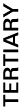 tertiary
